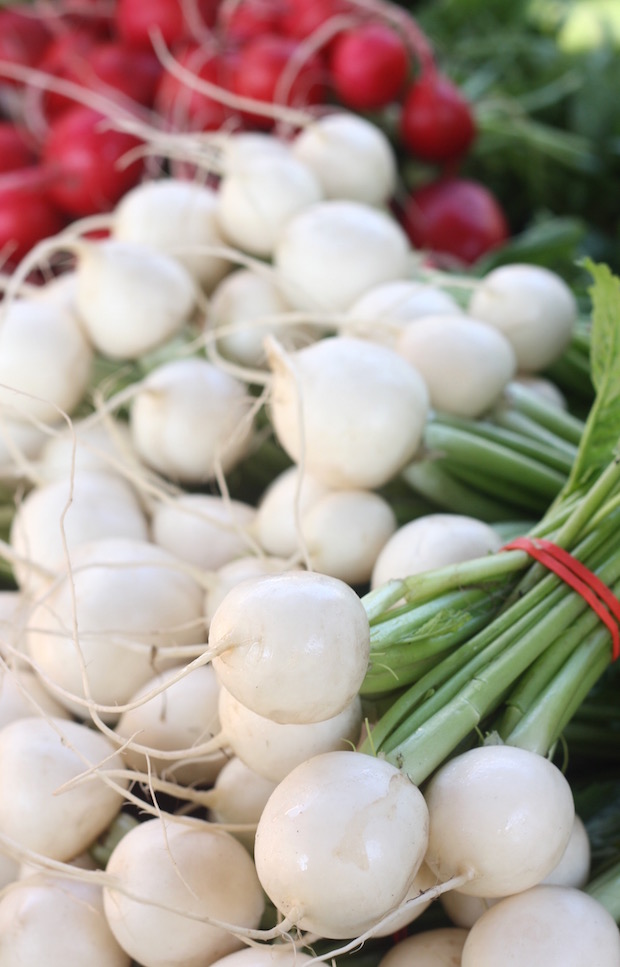 recipes for baby japanese turnips