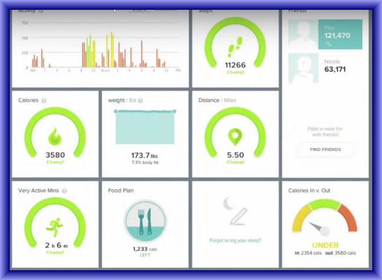 How To Using Fitbit Flex ~ Fitbit Manuals