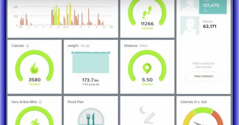How To Using Fitbit Flex ~ Fitbit Manuals