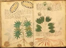 Il misterioso manoscritto di Voynich
