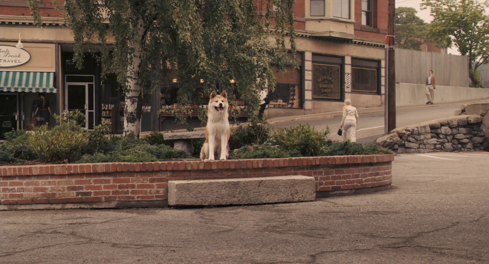 Hachiko+Siempre+a+tu+lado+%282009%29+FULL+HD+1080p+BDRip+Latino+-+Ingles+-+Descargatepelis.com.mkv_snapshot_00.32.27_%5B2020.01.11_08.27.12%5D.jpg (1600×867)