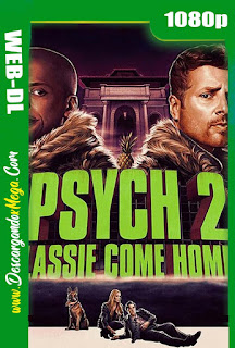  Psych 2 Lassie Come Home (2020) 