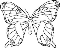 Miguel Munoz Mariposa De Colores