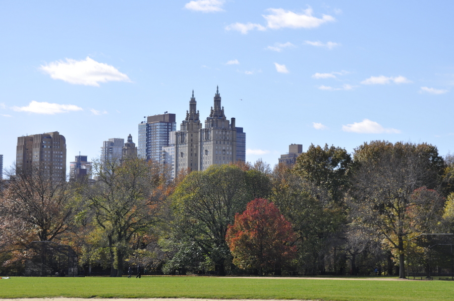 O que fazer no Central Park