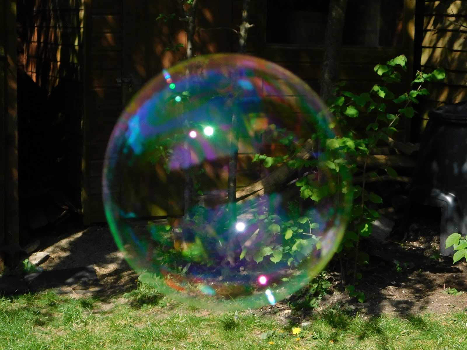 Bubble shapes