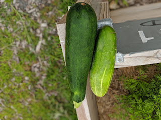 some produce from my own garden
