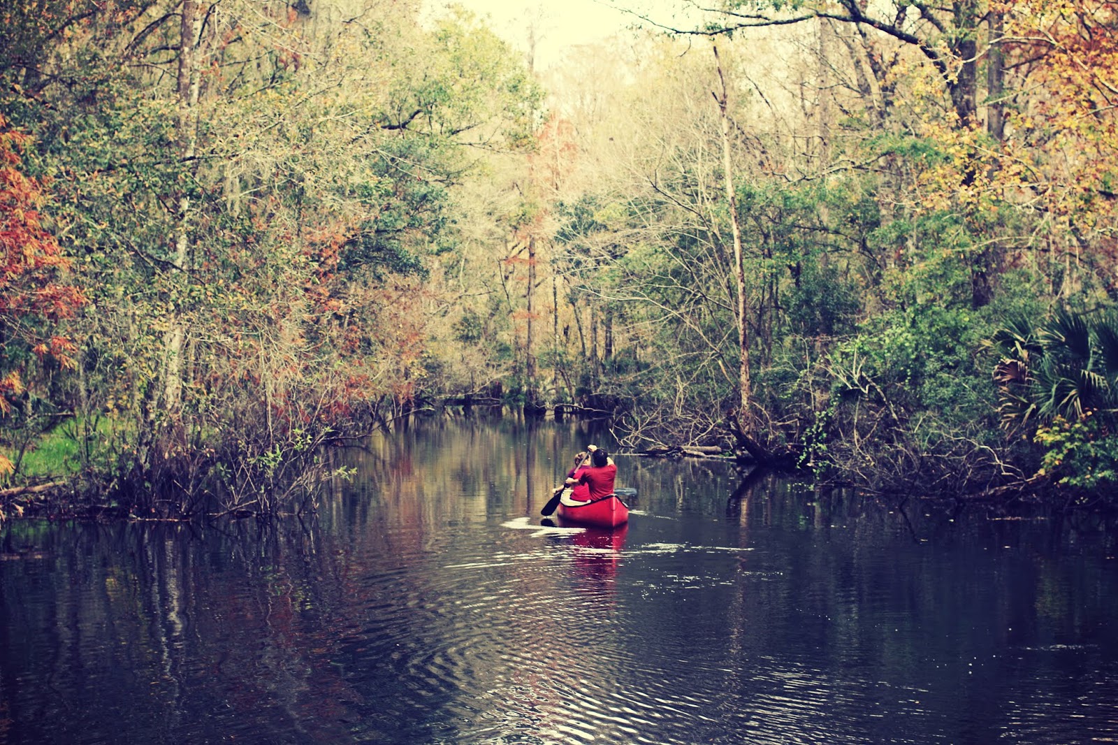 Gulf Coast Road Trip