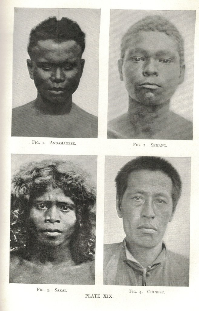 Приспособление негроидной расы. Древнеиндонезийская раса. Антропология расы. Антропология негроидной расы. Телосложение негроидной расы.