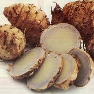 Manfaat dan Khasiat Temu Ireng untuk Kesehatan | Tanaman Obat