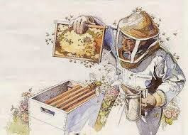 Λίγα λογά για της επιθεωρήσεις των μελισσιών 