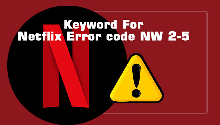 Amazing Steps to Fix Netflix Error Code NW 2-5