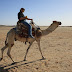 What you need to know about riding a camel in Qatar