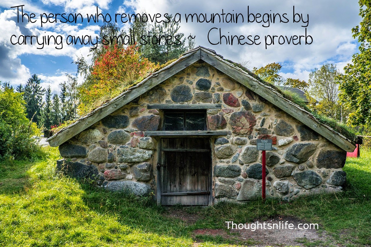 Thoughtsnlife.com: The person who removes a mountain begins by carrying away small  stones.  ~   Chinese proverb