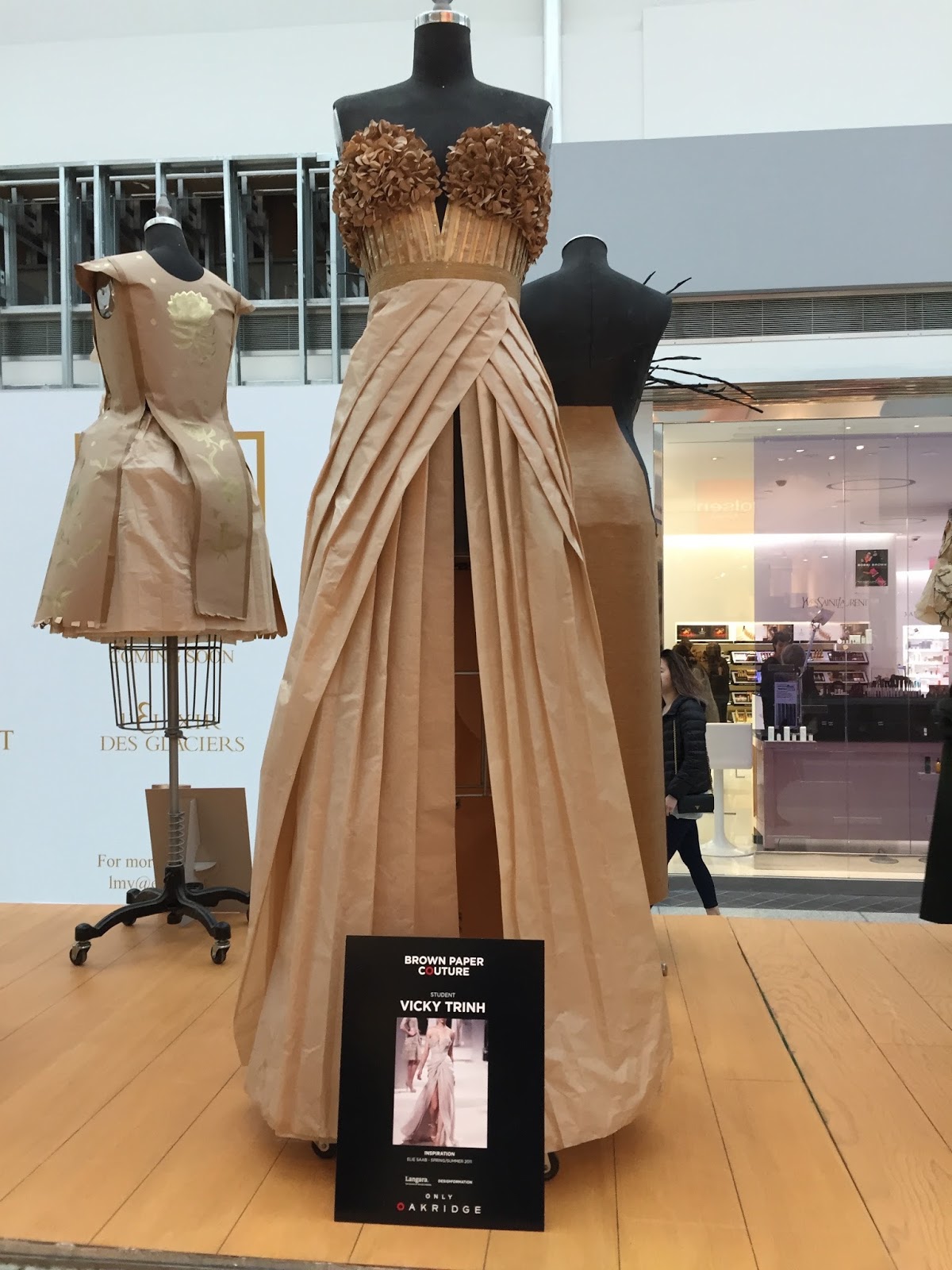 The dress essay image