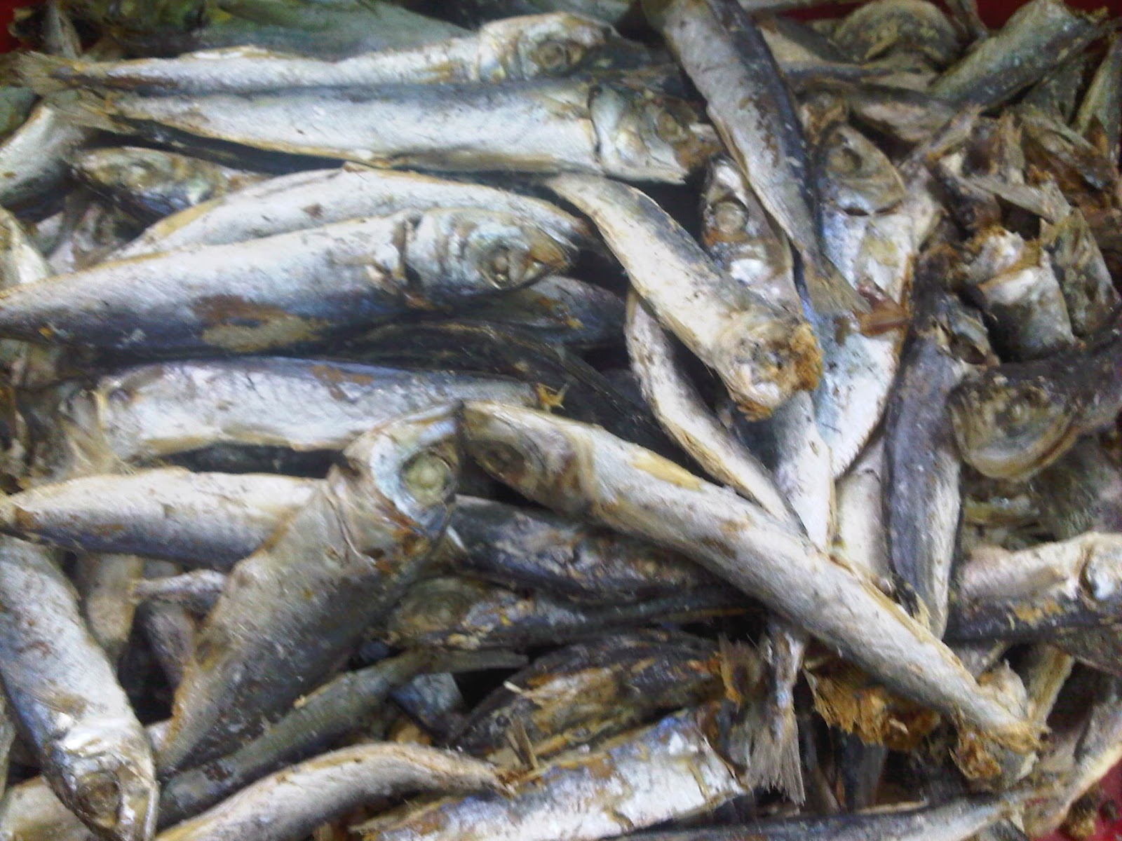Macam Macam Ikan Asin Ikan Layang Rebus