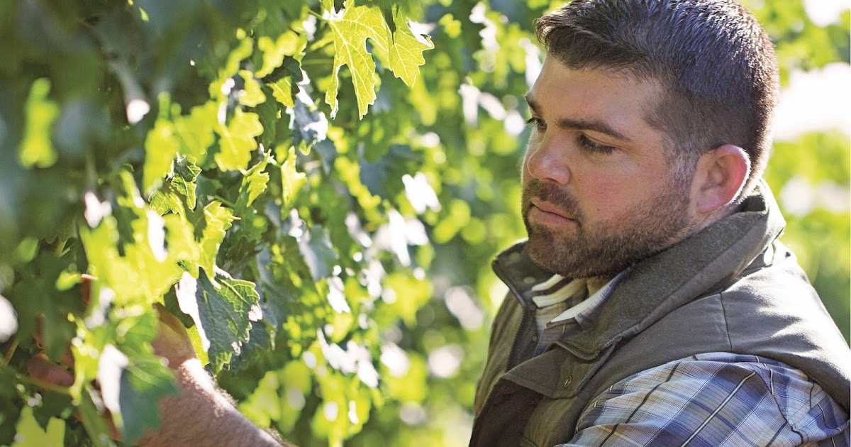 Franklin Matters "Exploring The Wines Of Copper Cane" Nov 9