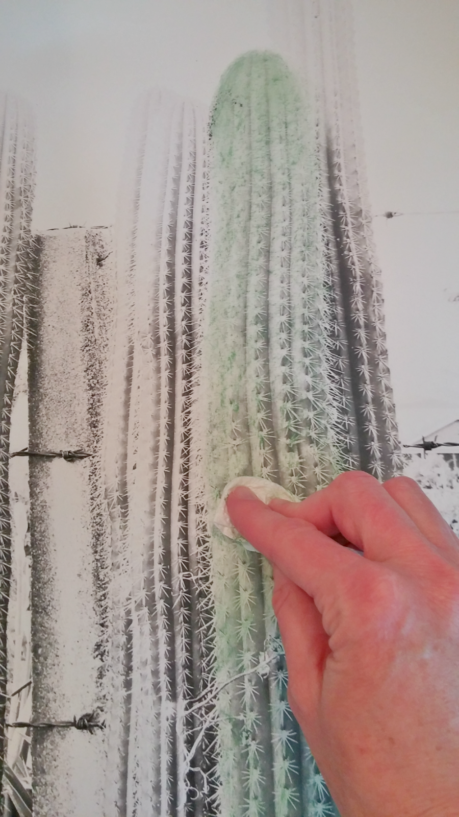 How to Tint Black & White Pictures Little Vintage Cottage