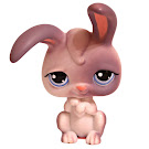 Littlest Pet Shop Seasonal Rabbit (#1061) Pet