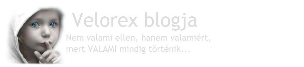 Velorex blogja
