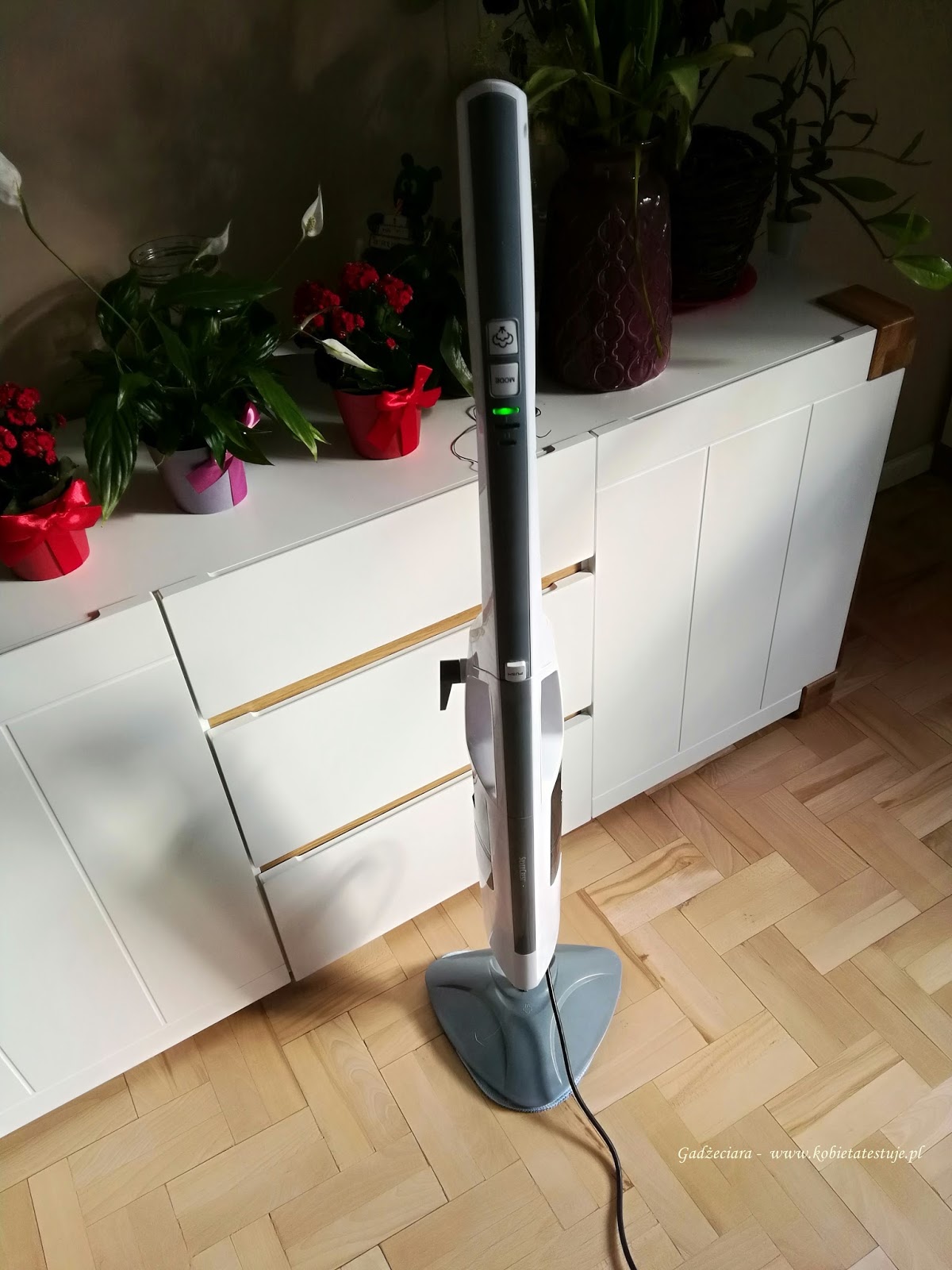 summon viteldíj dal mop parowy silvercrest z lidla opinie egymás