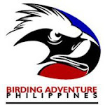 Birding Adventure Philippines