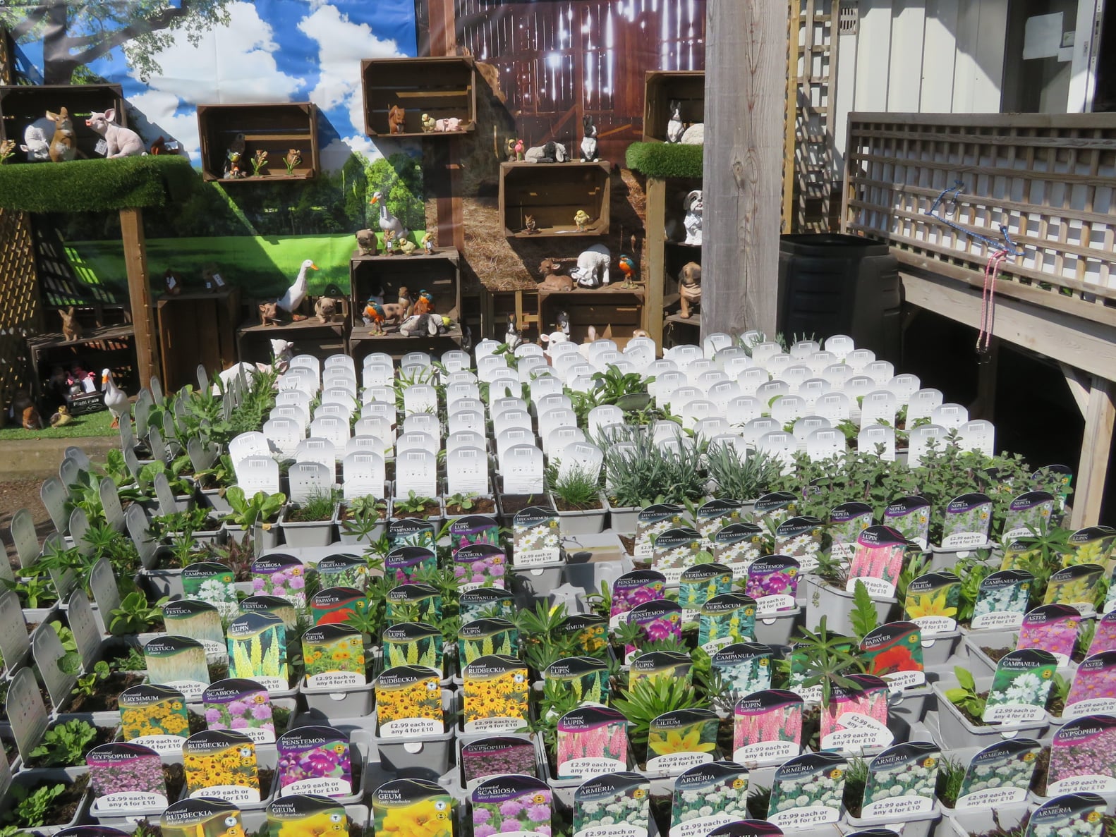 Martin Brookes Oakham QD Quality Discount Store and Garden Centre Melton Mowbray Leicestershire Martin Brookes Oakham QD Quality Discount Store and Garden Centre Melton Mowbray Leicestershire