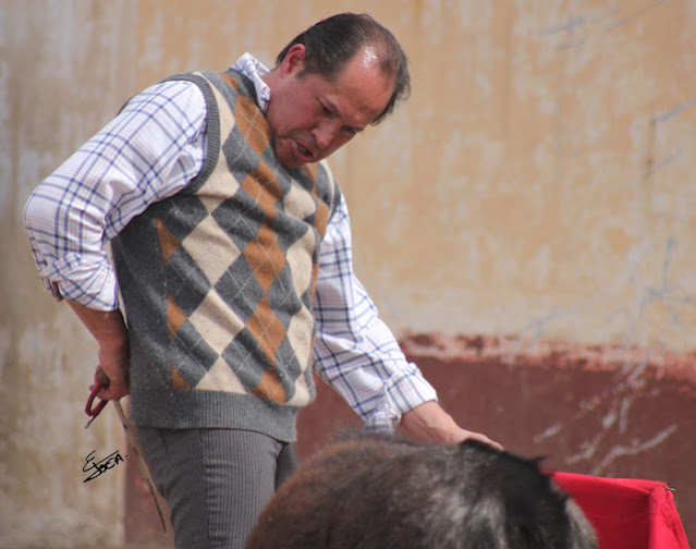 A LOS TOROS EL MATADOR DE TOROS ALFREDO GÓMEZ" BRILLANTE