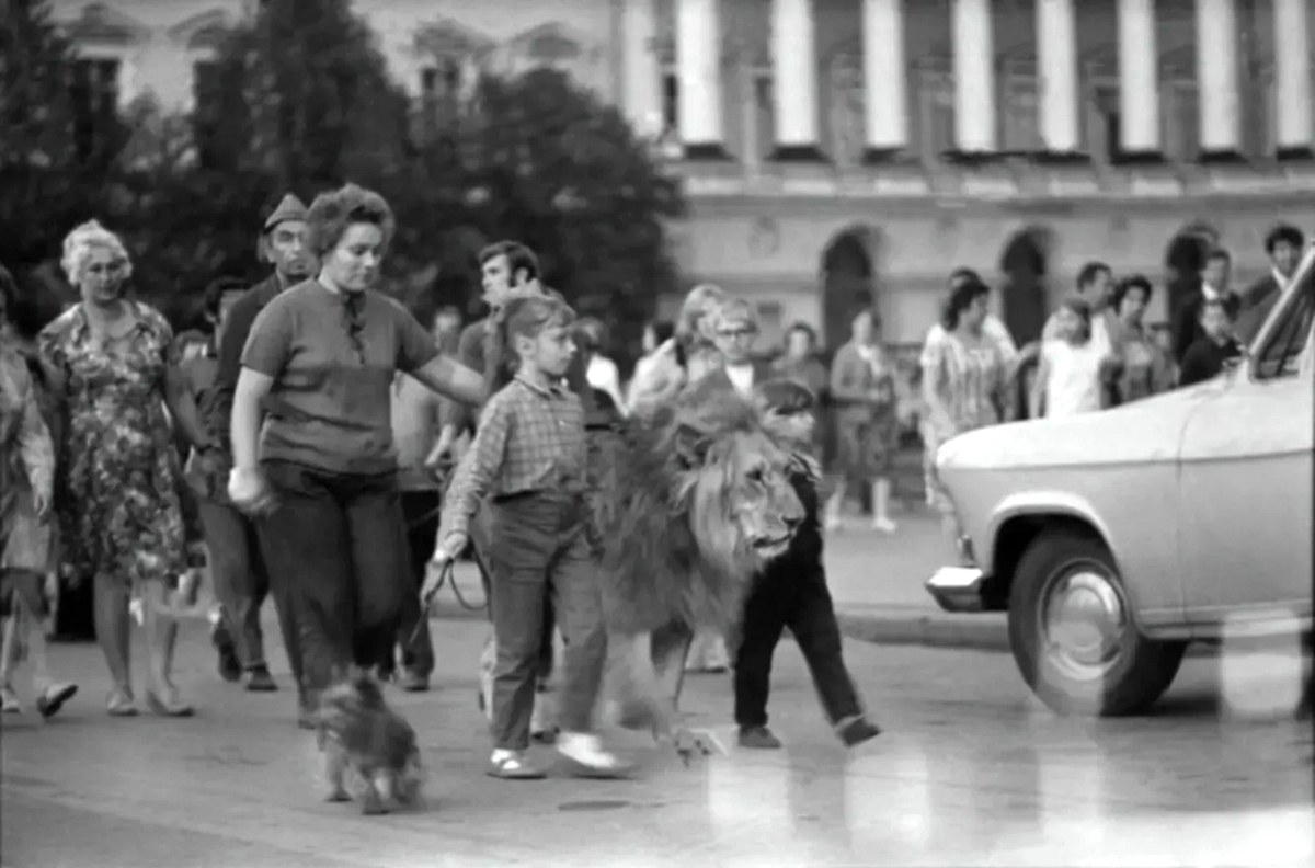The Tragic Story of the Berberovs, a Soviet Family Who Raised Pet Lions at Home