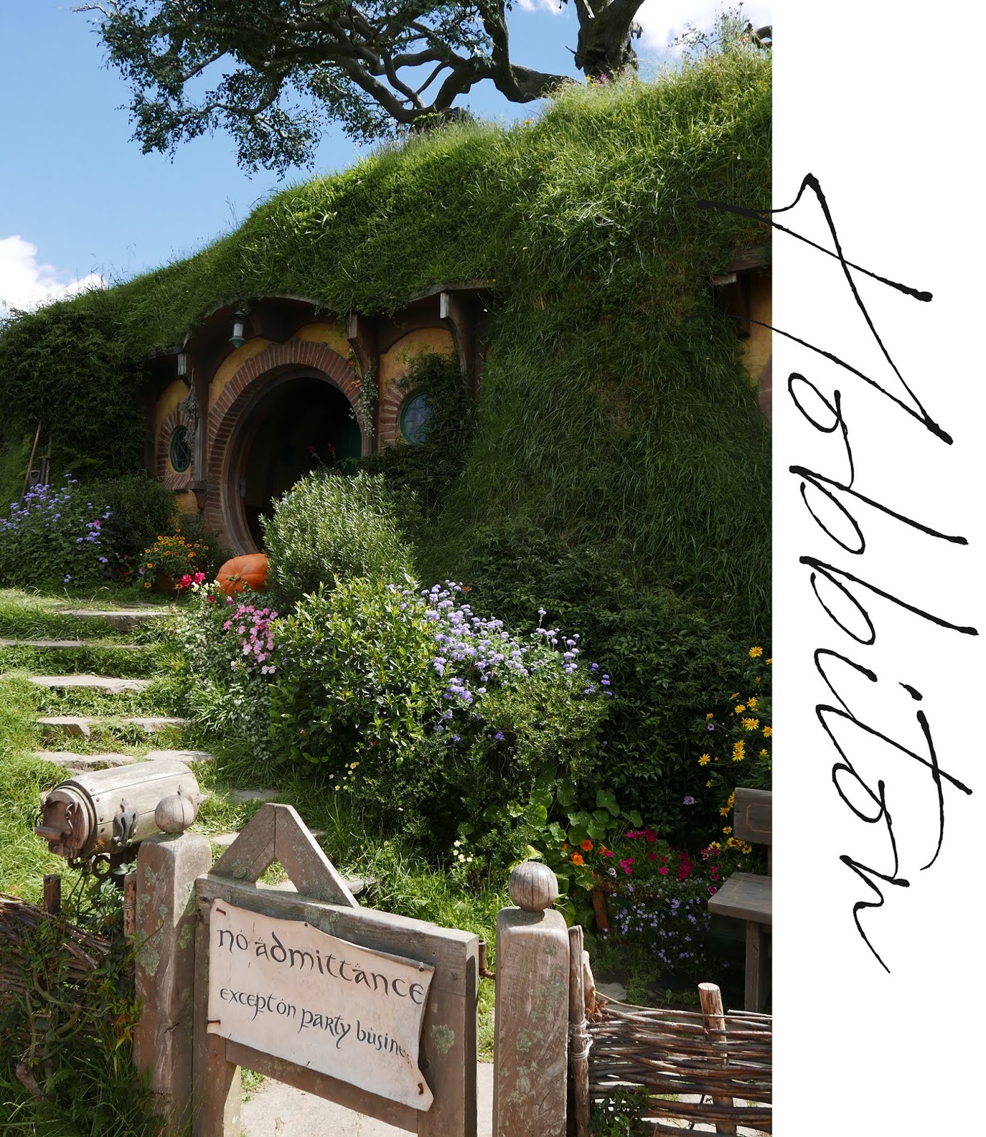 Euriental | luxury travel & style | Hobbiton, New Zealand