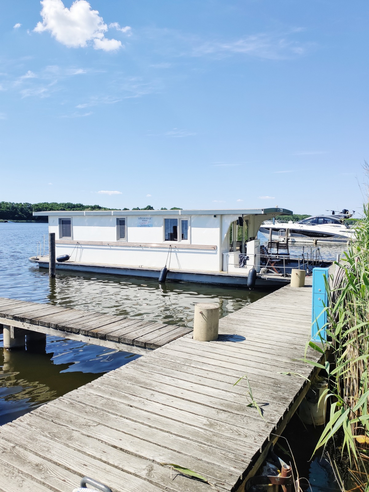 Gesellschaft Stiftunglife Bildung Umwelt Gesundheit