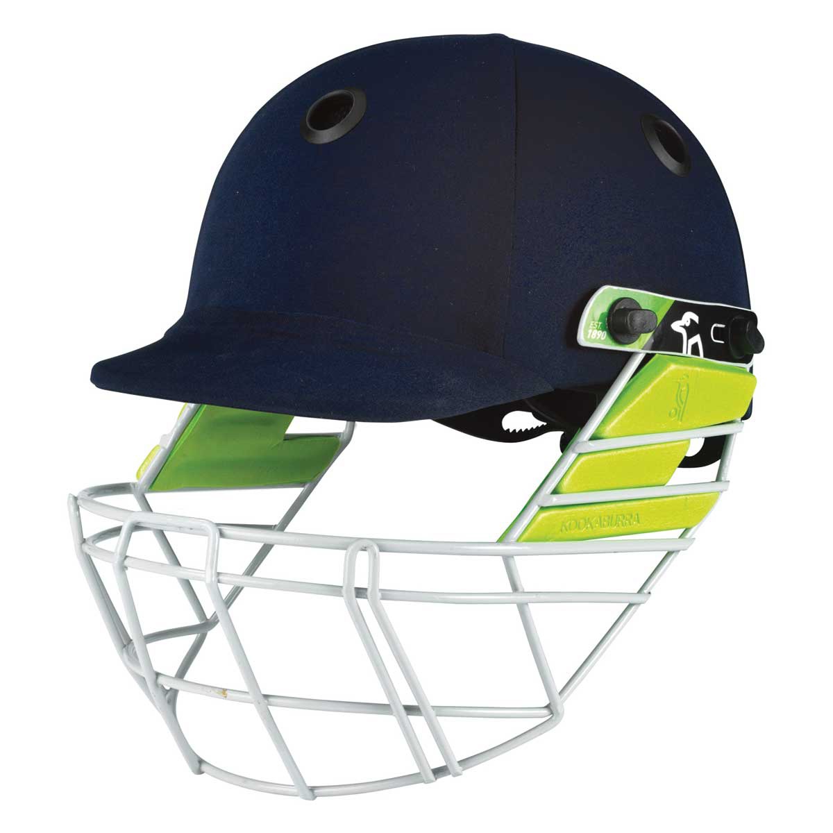 Buy Cricket Helmets? Then You Should Choose These Brand's Cricket Helmets