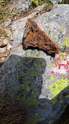 A rock-piece of iron ore under Monte Capelle.