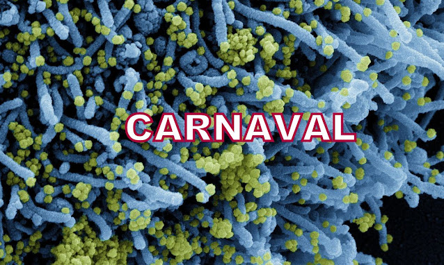 CARNAVAL: Nova variante do coronavírus com grande número de mutações é descoberta