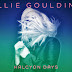 Encarte: Ellie Goulding - Halcyon Days (iTunes Store Deluxe Edition Bonus Videos)