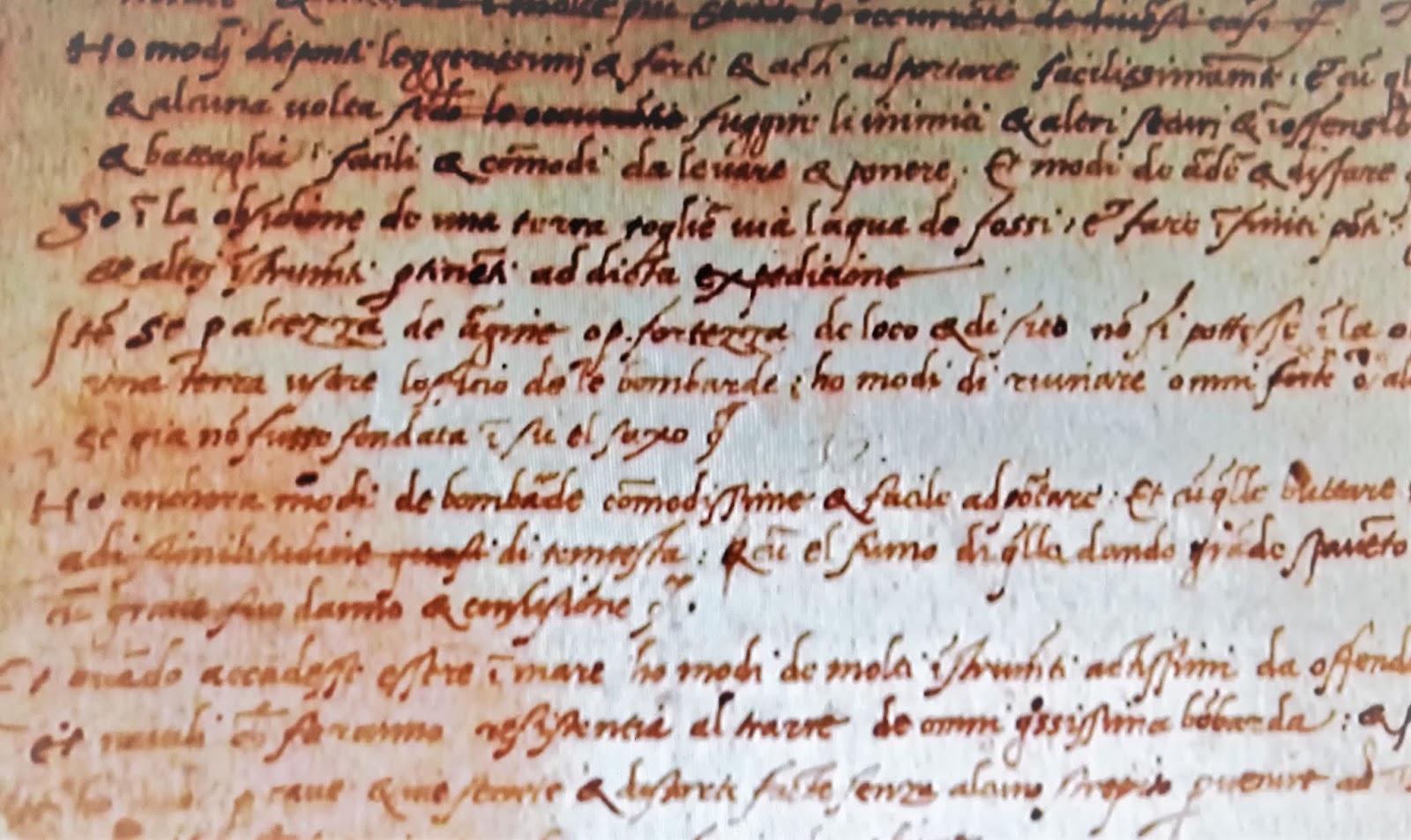 Rosarydelsudart News Curriculum Di Leonardo Da Vinci