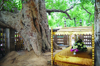 Diamond Throne Mahabodhi Temple hd image