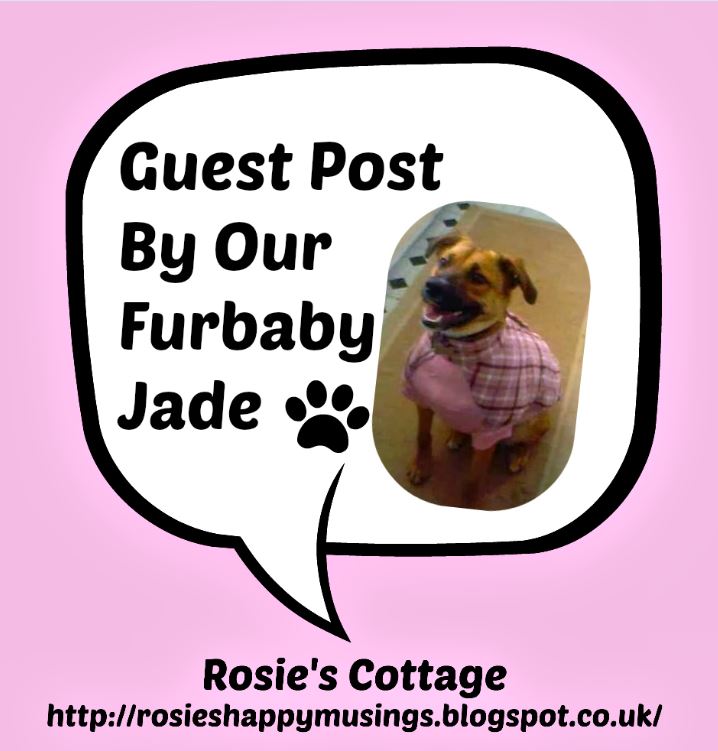 Rosie\u0026#39;s Cottage: Guest Post By Jade, Our Beloved Furbaby