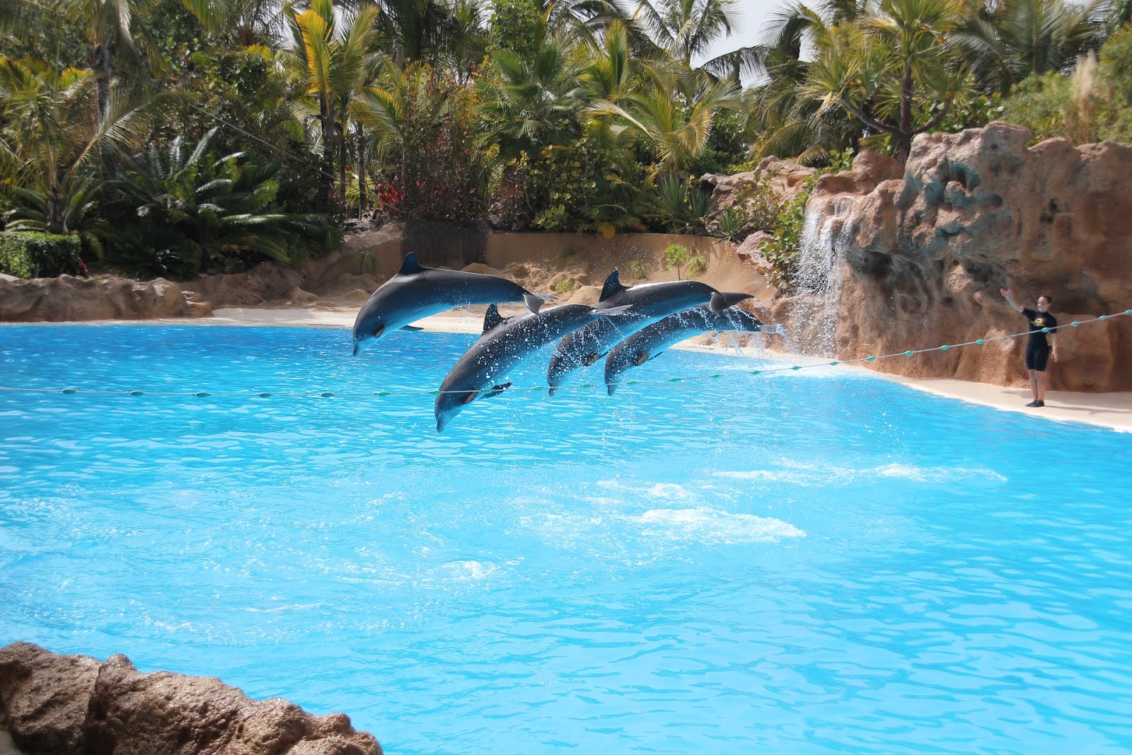 29 Juni 2012 Loro Parque Teneriffa Coasterfriends Club