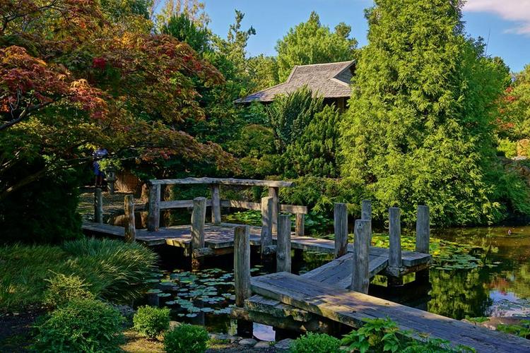 Jardín Japones en Real Jardín Botánico de Tasmania Jardín Japones en Real Jardín Botánico de Tasmania