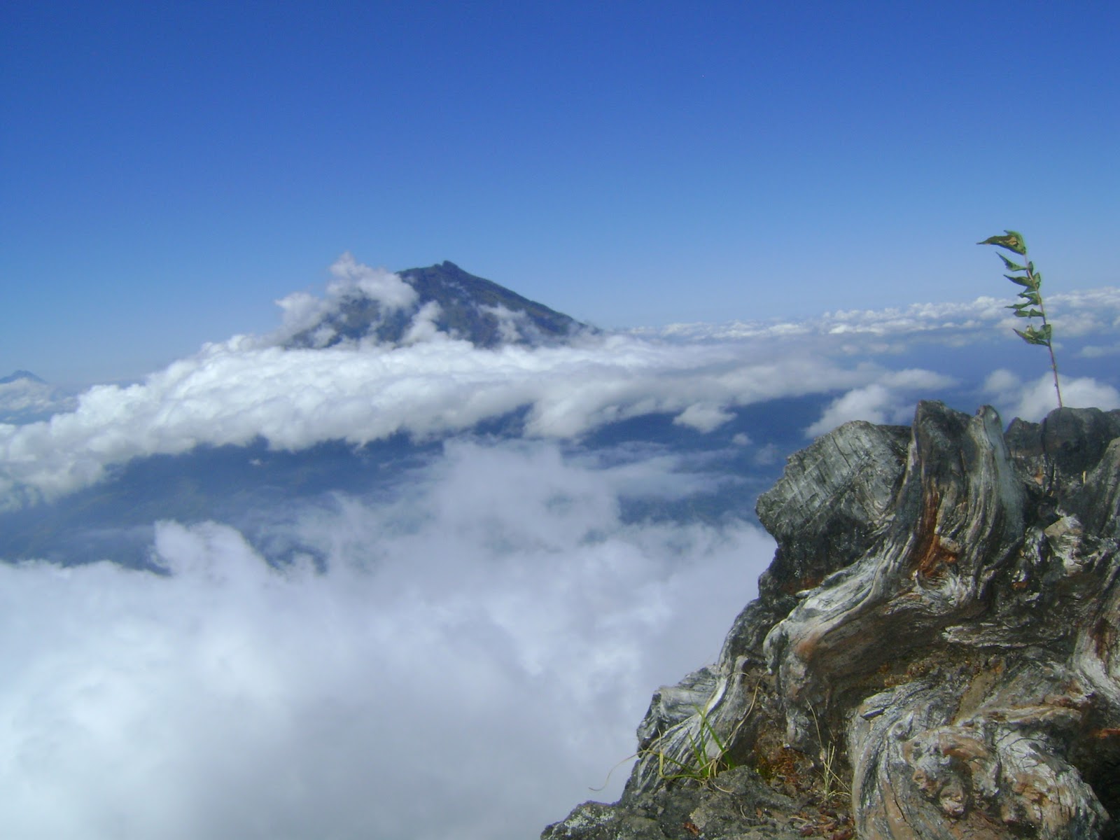 Negeri di Atas Awan | Teman Baca