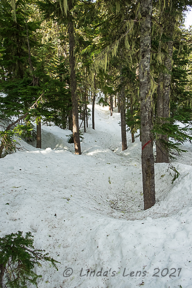 Linda's Lens Frog Lake Butte