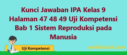 Kunci Jawaban Ipa Kelas 9 Halaman 47 48 49 Uji Kompetensi Bab 1 Buku Ilmu Pengetahuan Alam Wali Kelas Sd