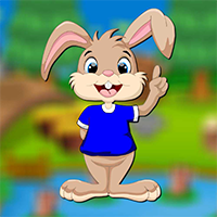 AvmGames Happy Rabbit Escape