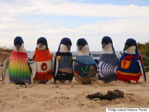 http://www.huffingtonpost.com/2015/02/11/australias-oldest-man-sweaters-penguins-oil_n_6660962.html