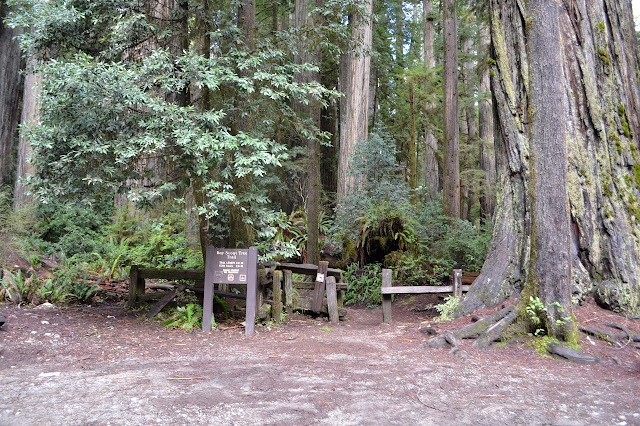 trailhead sign