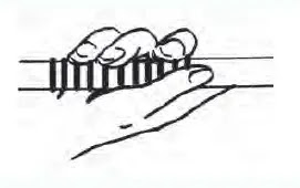 3 Cara Memegang Lembing Beserta Gambarnya Dan Penjelasan Bangmaul Com