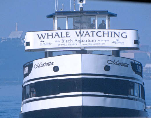 Flagship Whale Watching Excursions by Stacey Kuhns