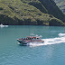 Lazy otter chartters custom sightseeing tours