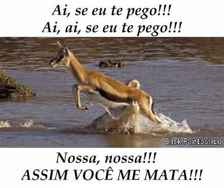 Fotos para Facebook | Click Fantástico