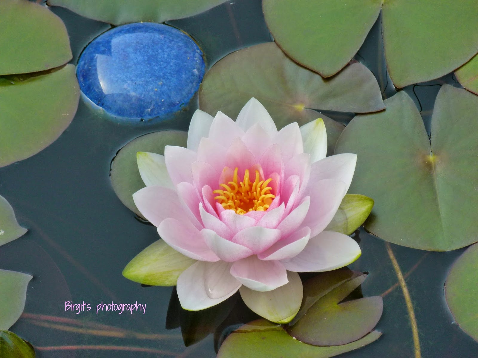 Geschenk Zum Abitur Bruder Geburtstag